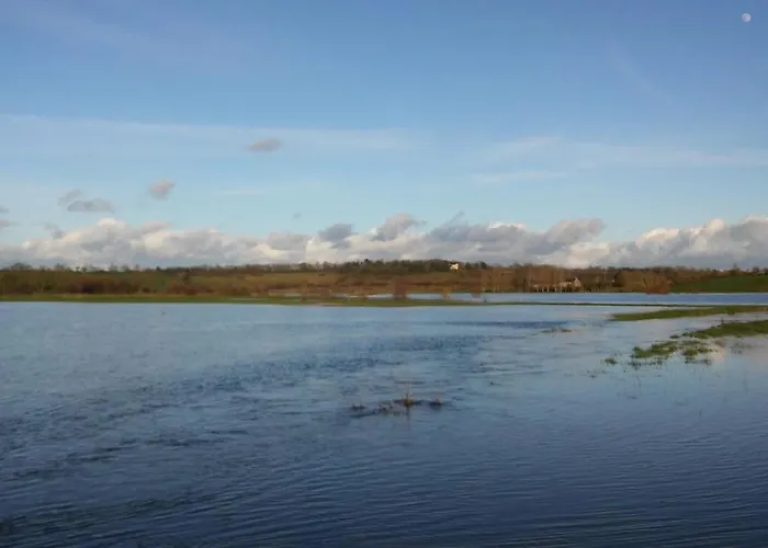 Domaine Des Cigognes - Les Roseaux 公寓 Écrammeville