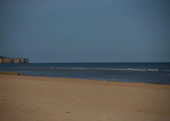 Domaine Des Cigognes - Les Roseaux 公寓 Écrammeville